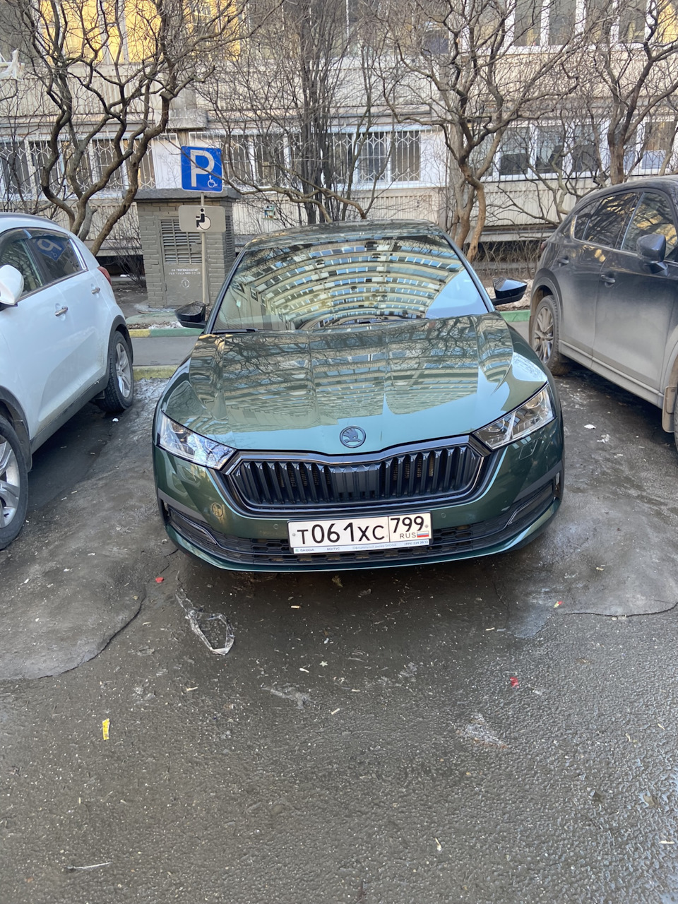 Фото в бортжурнале Skoda Octavia A8 Mk4