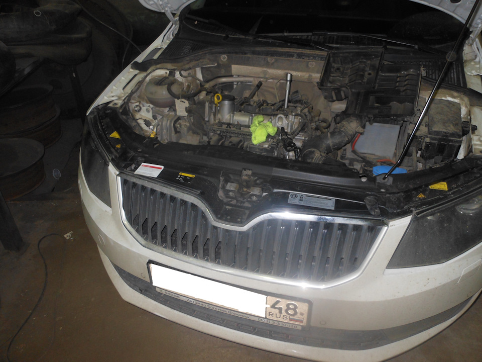 Пред ТО наши руки не для скуки. — Skoda Octavia A7 Mk3