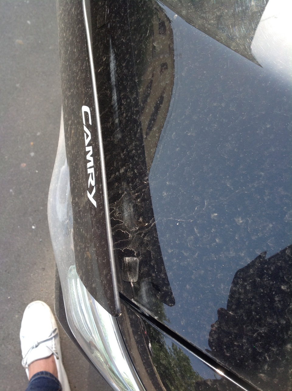 Фото в бортжурнале Toyota Camry (XV50)