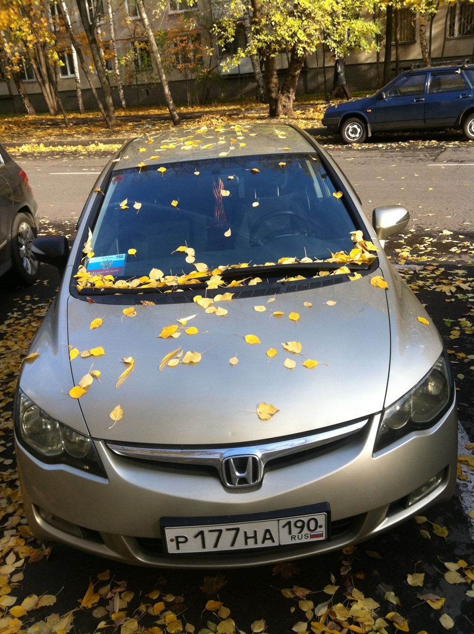 7. Мой настоящий золотистый кузя!) — Honda Civic 4D (8G)