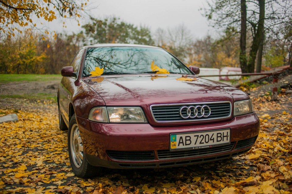 Фото в бортжурнале Audi A4 (B5)