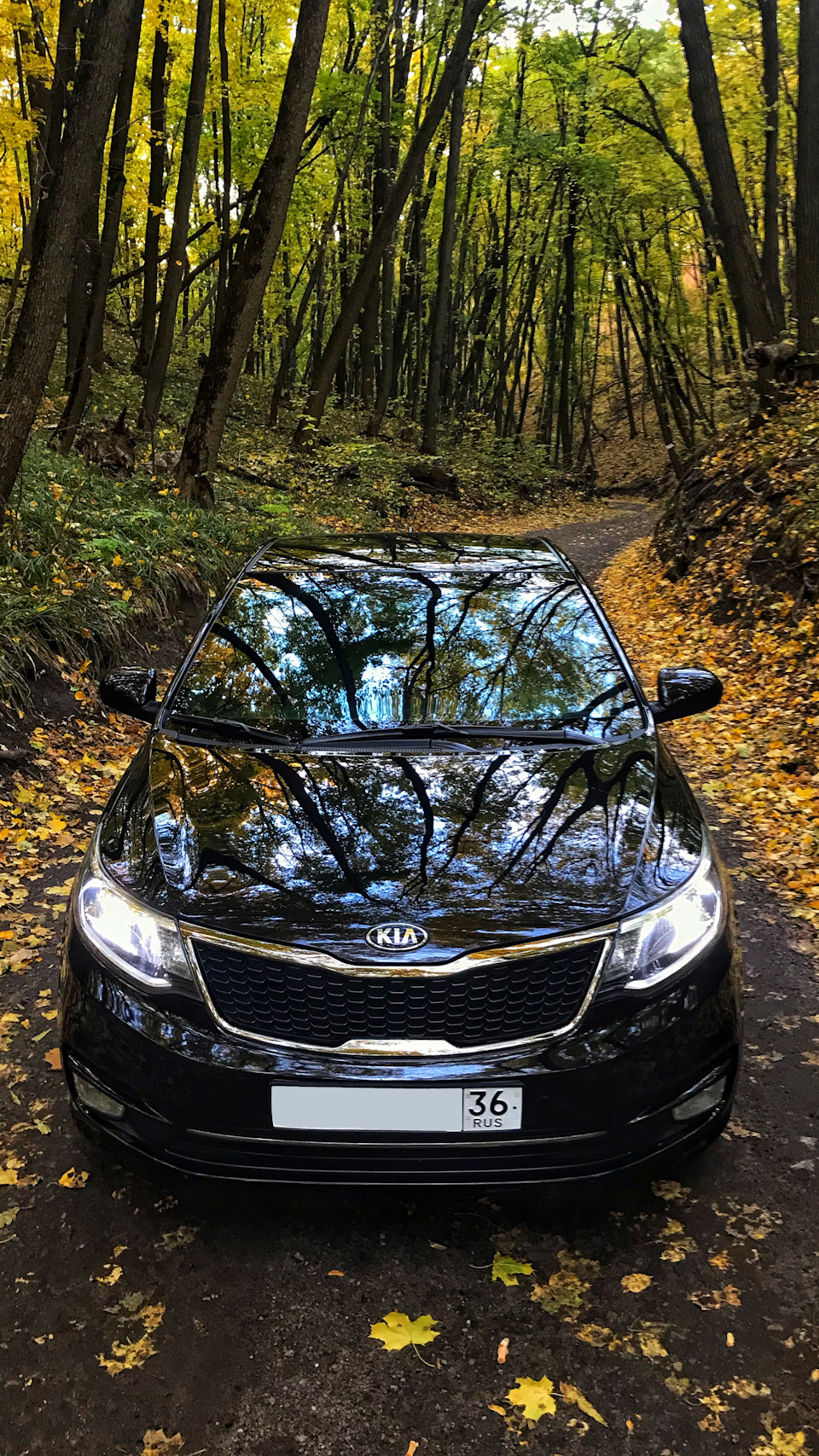 Photo from the logbook KIA Rio (3G)