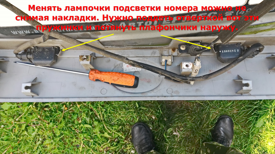 Лампочки подсветки номера можно менять не снимая накладку. Нужно поддеть отверткой плафон надавить на пружинку и потянуть плафон наружу. — Great Wall Hover