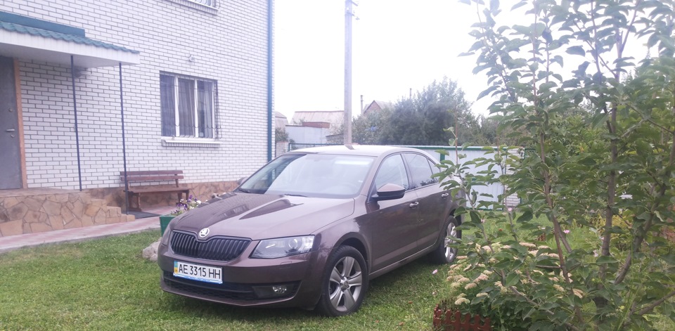 Фото в бортжурнале Skoda Octavia A7 Mk3