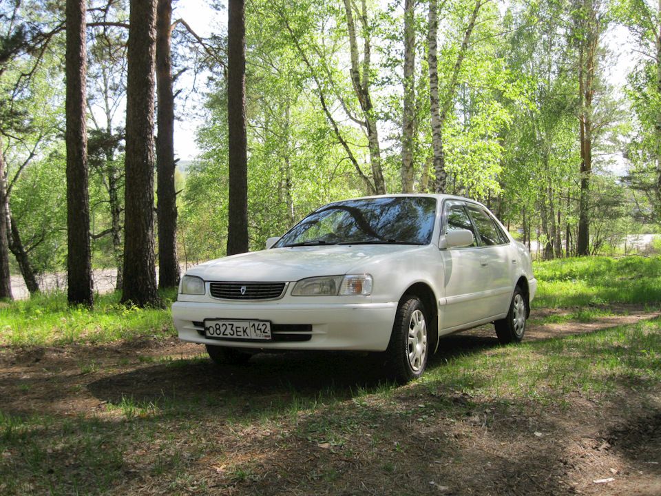 Фото в бортжурнале Toyota Corolla (110)