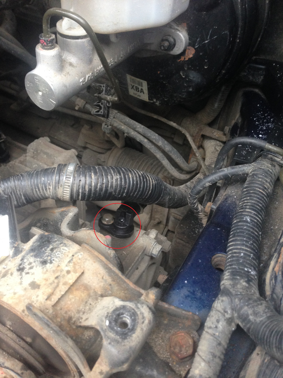 Фото в бортжурнале Hyundai Elantra (3G)