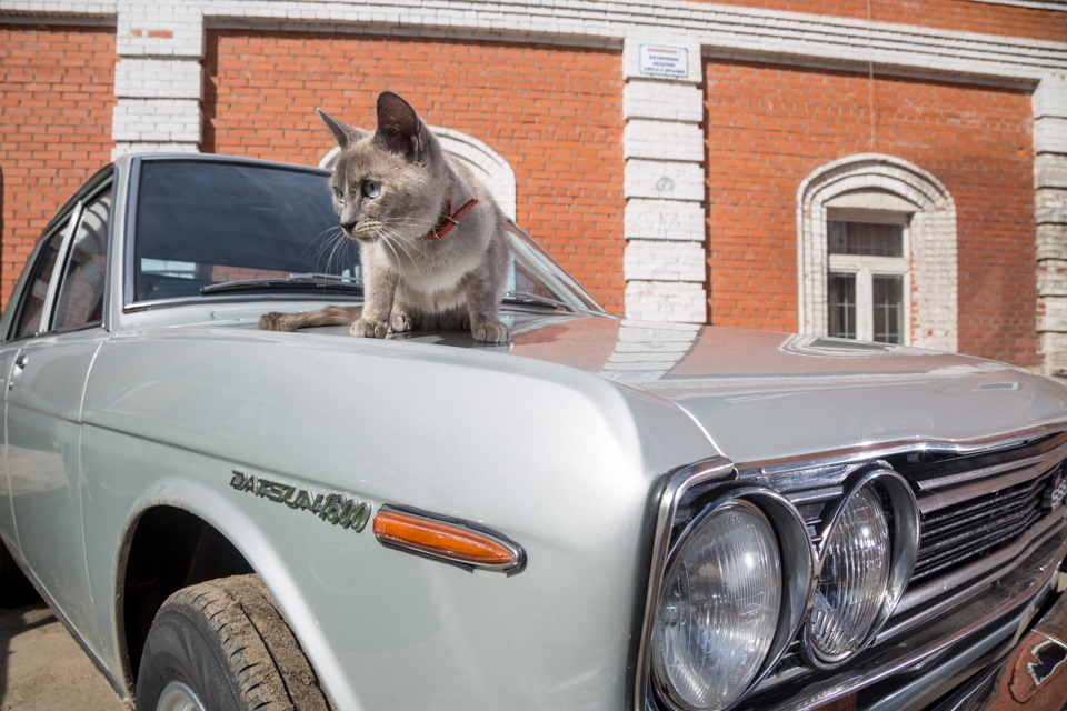 Photo from the logbook Datsun Bluebird (510)