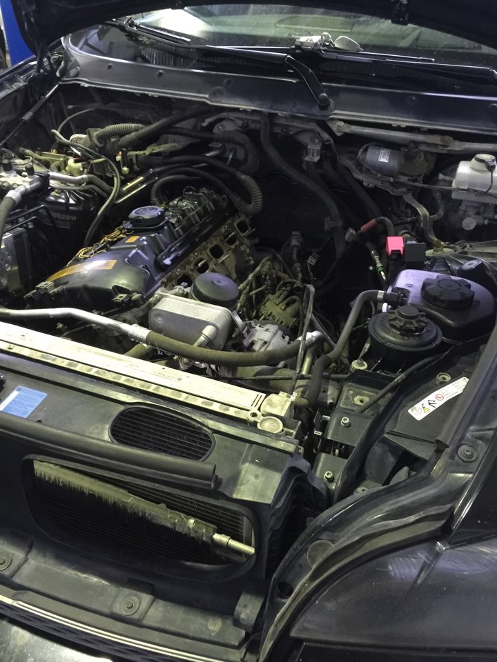 Фото в бортжурнале BMW X6 (E71/E72)