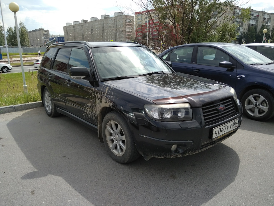 сегодня днем оценил при свете — Subaru Forester (SG)