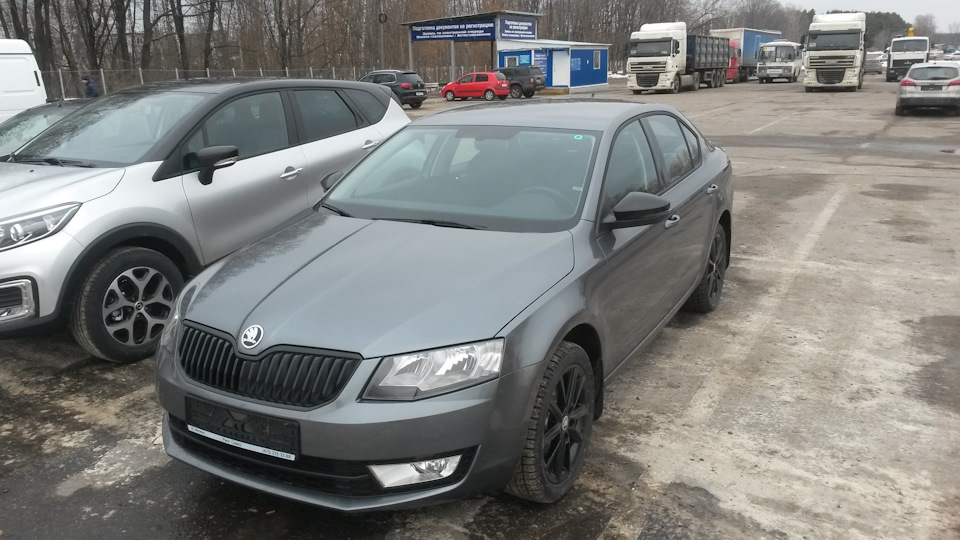 Skoda Octavia Škod'ливый