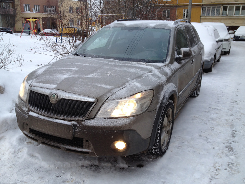 НА утро после приезда) — Skoda Octavia Scout A5 Mk2
