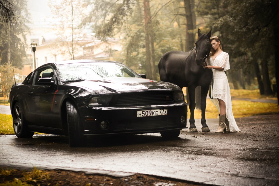 Фото в бортжурнале Ford Mustang (5G)