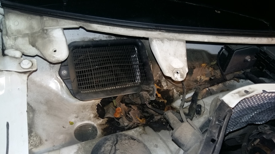 Фото в бортжурнале Volkswagen Tiguan (1G)
