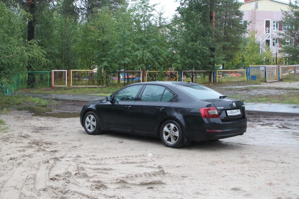 Фото в бортжурнале Skoda Octavia A7 Mk3