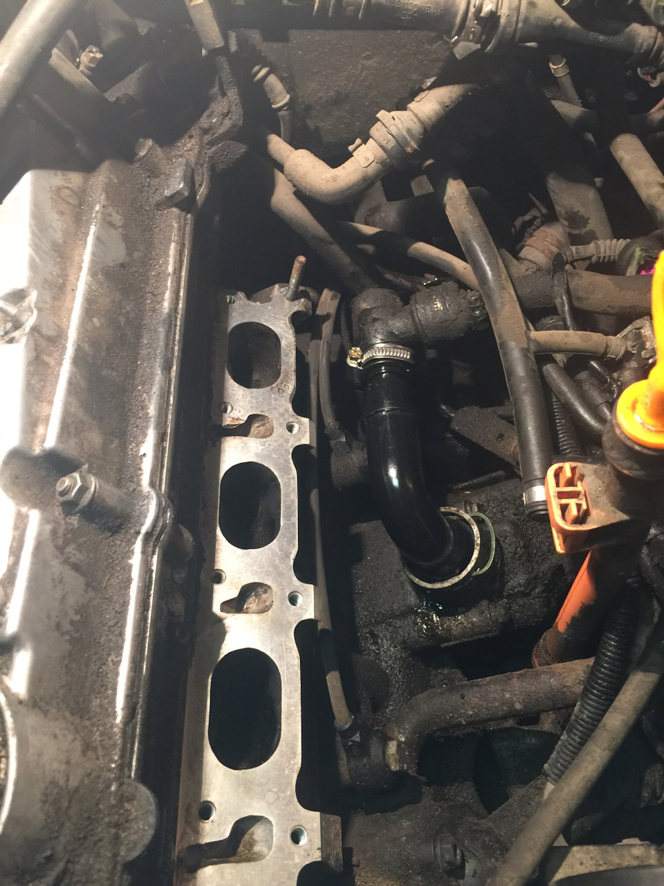 Фото в бортжурнале Volkswagen Passat B5