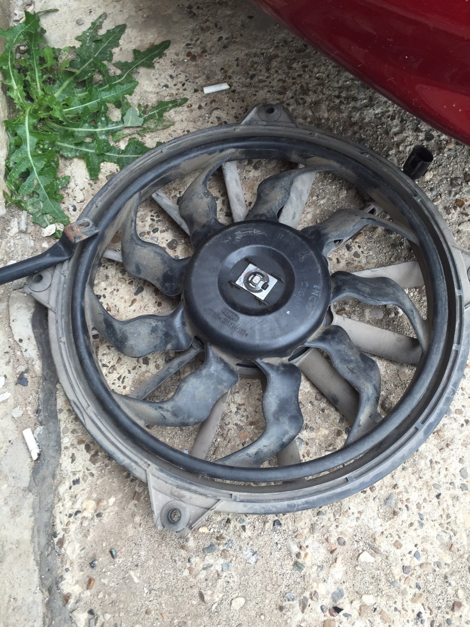 Фото в бортжурнале Audi S4 (B5)