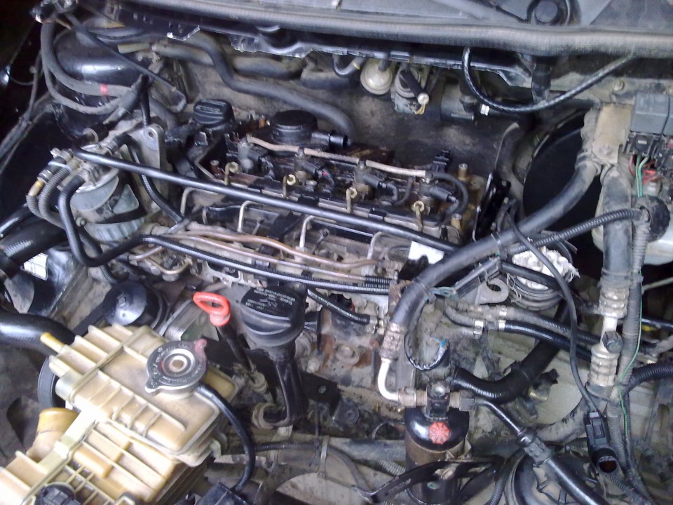 Фото в бортжурнале Mercedes-Benz Vito (1G)