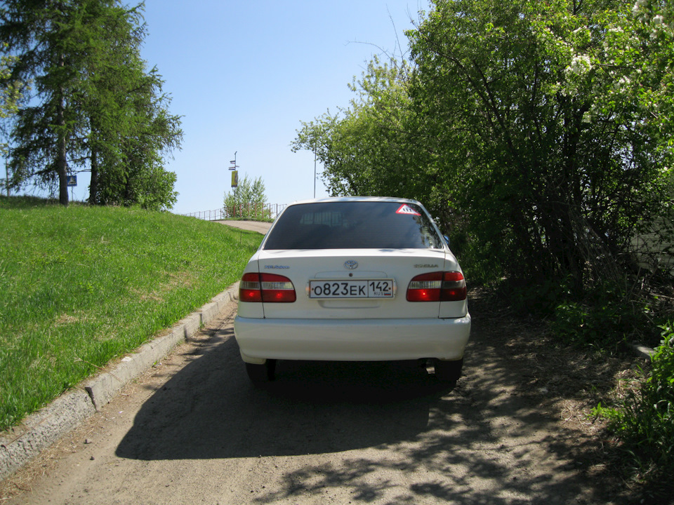 Фото в бортжурнале Toyota Corolla (110)