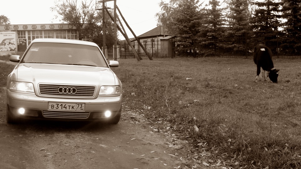 Audi A8 Серенькая пантера