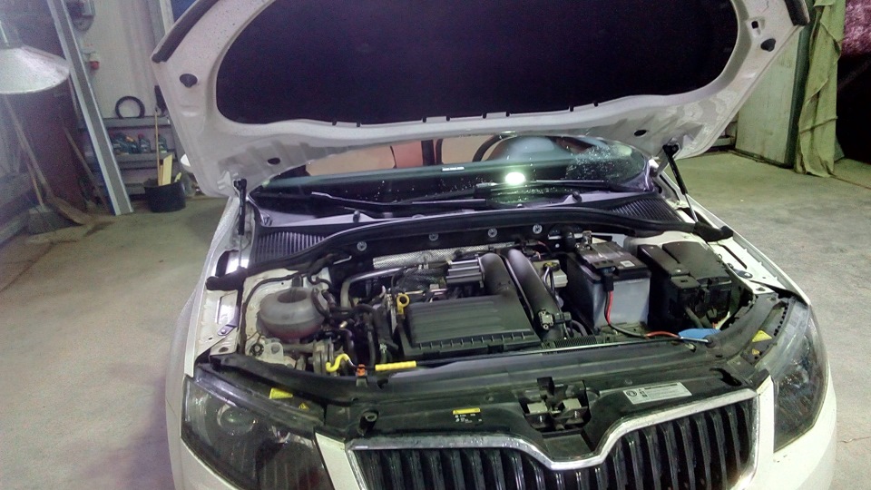 Фото в бортжурнале Skoda Octavia A7 Mk3