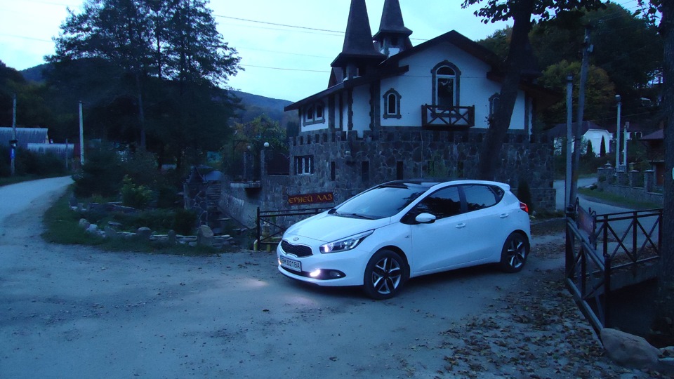 KIA Ceed Белка