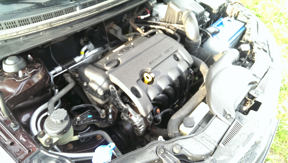 Фото в бортжурнале KIA Cerato (2G)