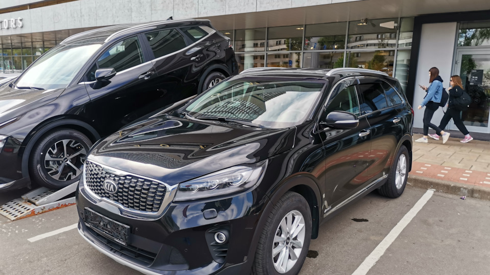 KIA Sorento 🦛Бегемот