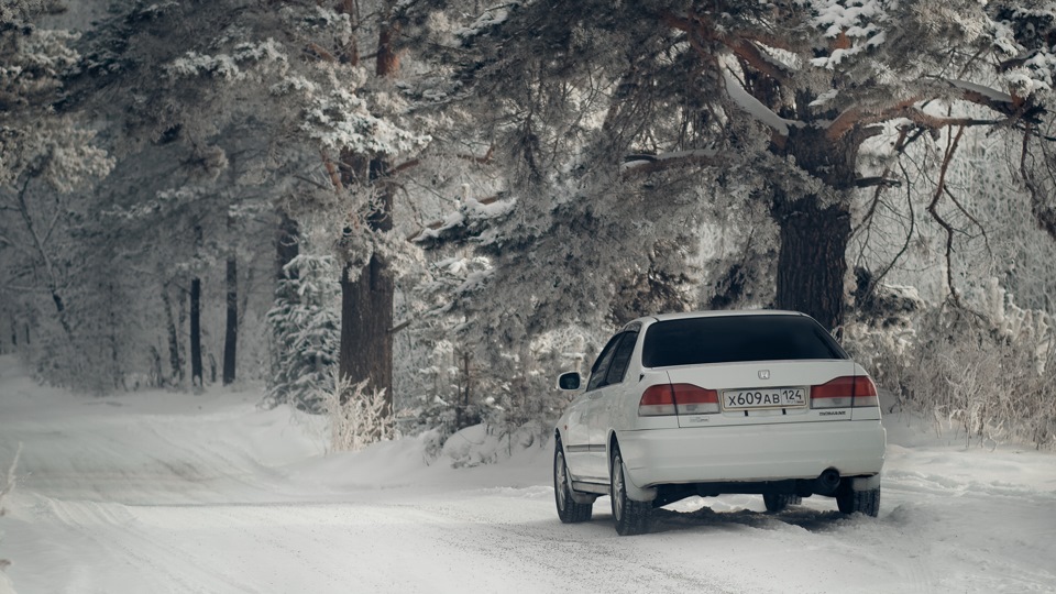 Honda Domani 2.0 (двушечка:)