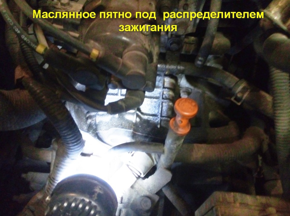 Фото в бортжурнале Mazda Demio (1G)