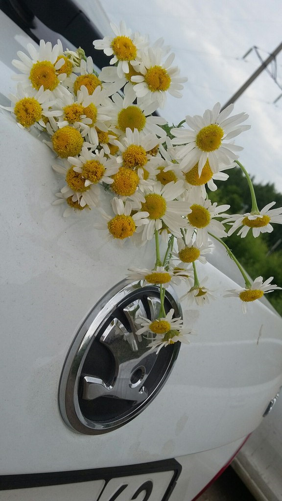 Фото в бортжурнале Skoda Roomster