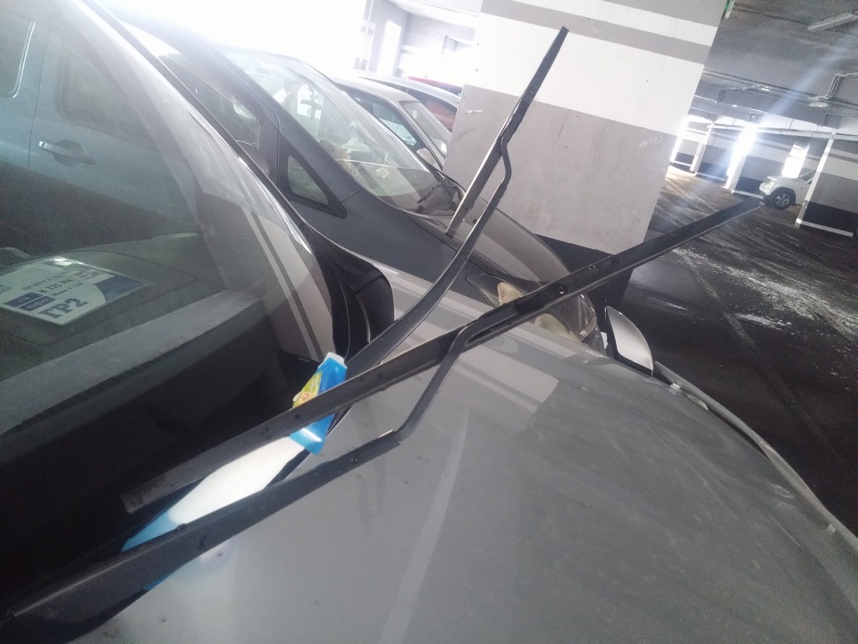 Фото в бортжурнале Nissan X-Trail II (t31)