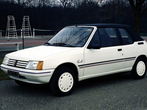 Фото в бортжурнале Peugeot 205