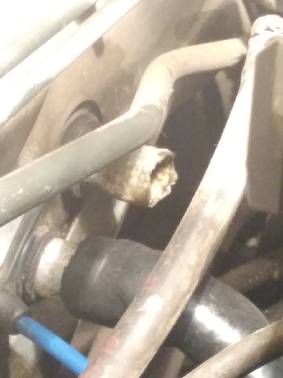 Фото в бортжурнале Honda Domani (MB)
