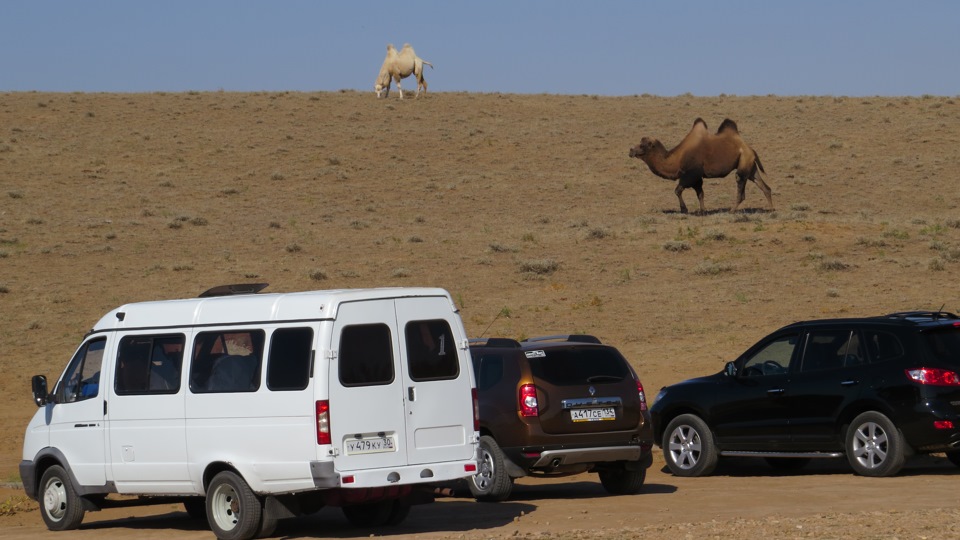 Фото в бортжурнале Renault Duster (1G)