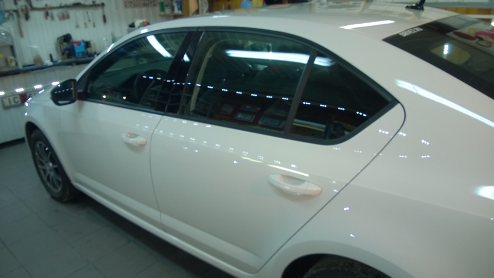 Блестит… — Skoda Octavia A7 Mk3