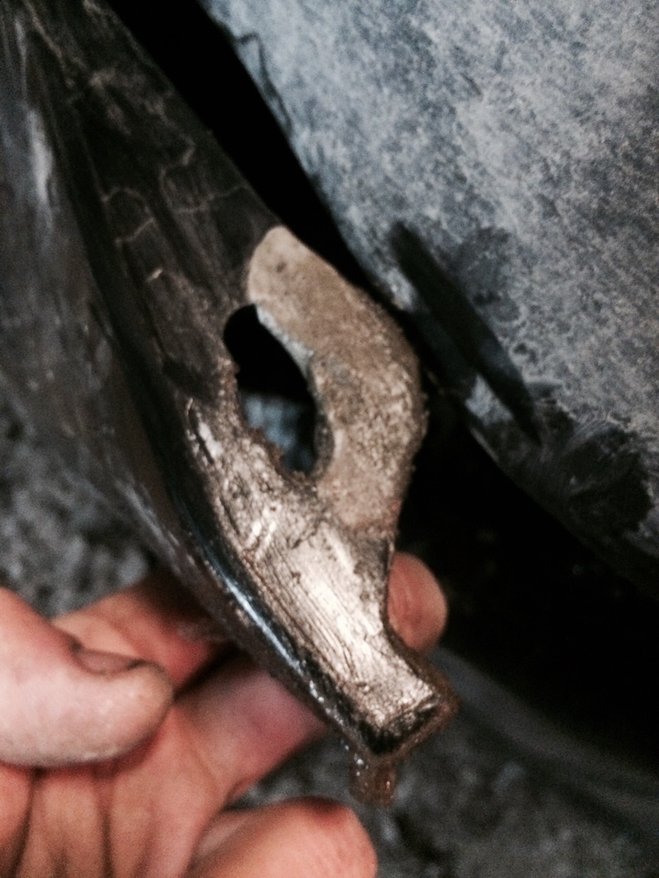 После — Honda Civic Ferio (6G)