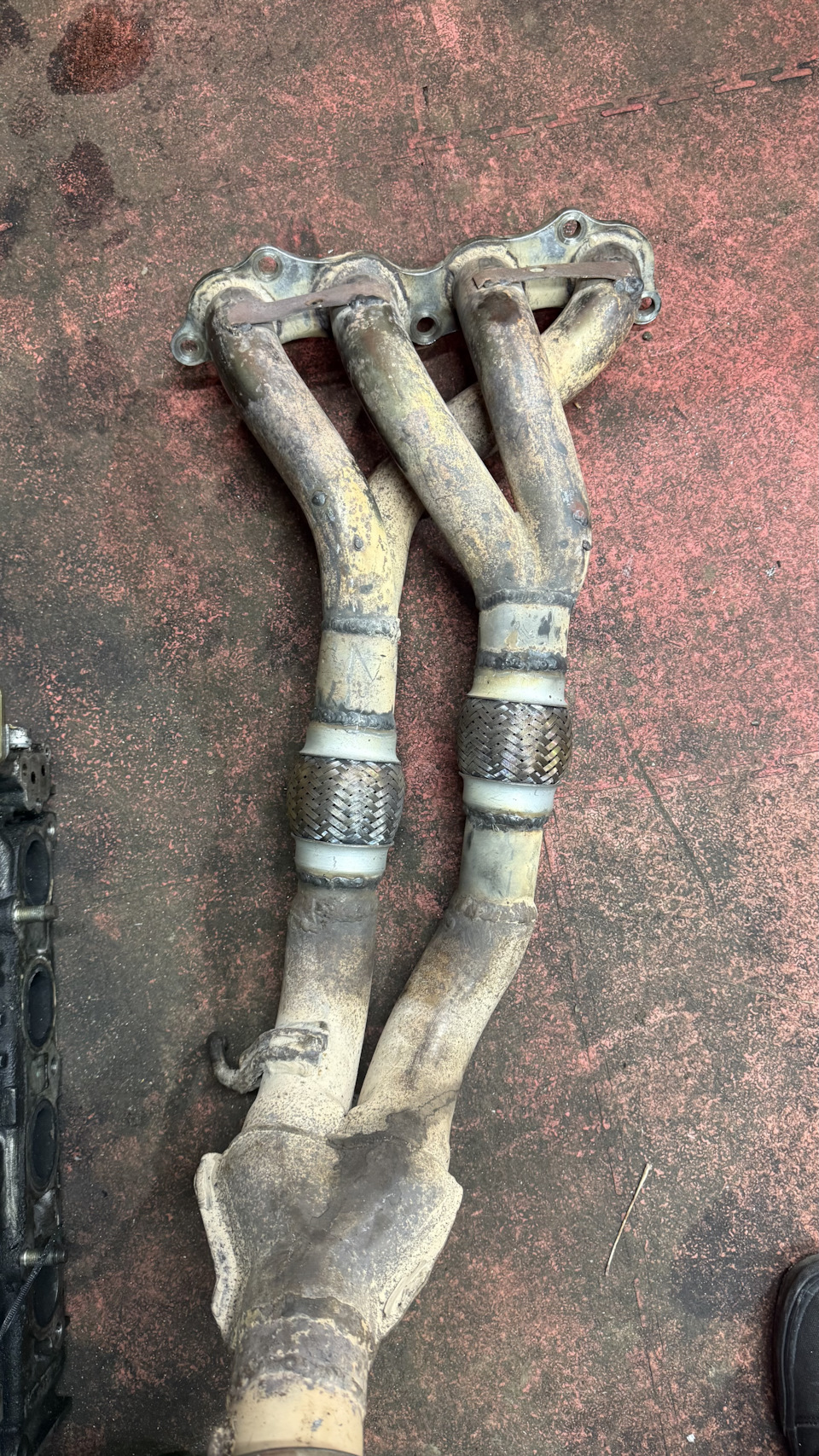 Фото в бортжурнале Acura RSX