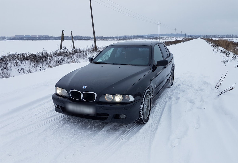 Фото в бортжурнале BMW 5 series (E39)