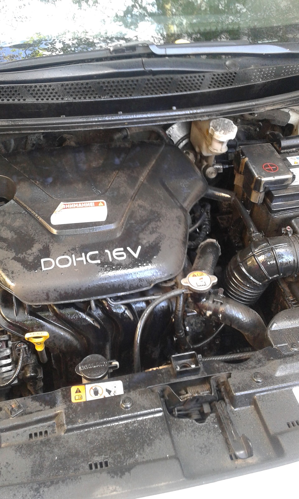 Фото в бортжурнале KIA Ceed SW (2G)