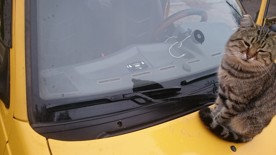 Фото в бортжурнале Daewoo Nexia (2G)