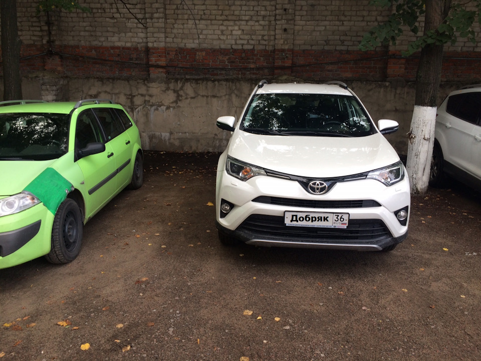 вид со стороны — Toyota RAV4 (IV)
