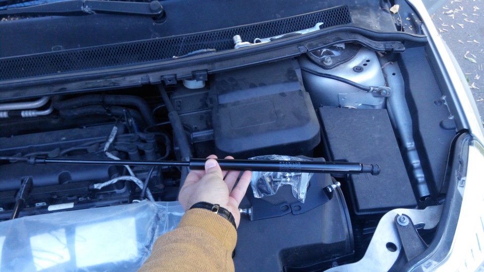 Фото в бортжурнале Ford Focus Hatchback II