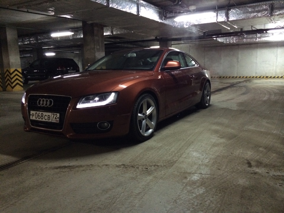 Фото в бортжурнале Audi A5 (1G)