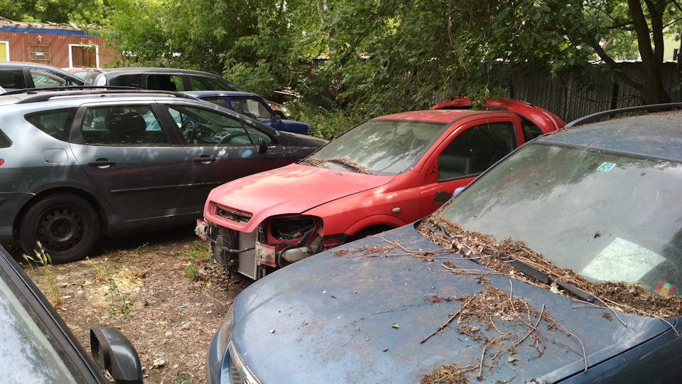 Фото в бортжурнале BMW 3 series Touring (E46)