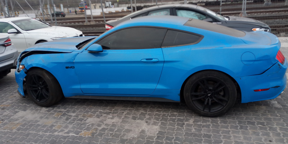 Фото в бортжурнале Ford Mustang (6G)