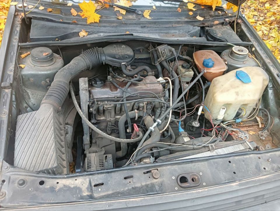 Подкапотка, на момент покупки машины — Volkswagen Golf Mk2