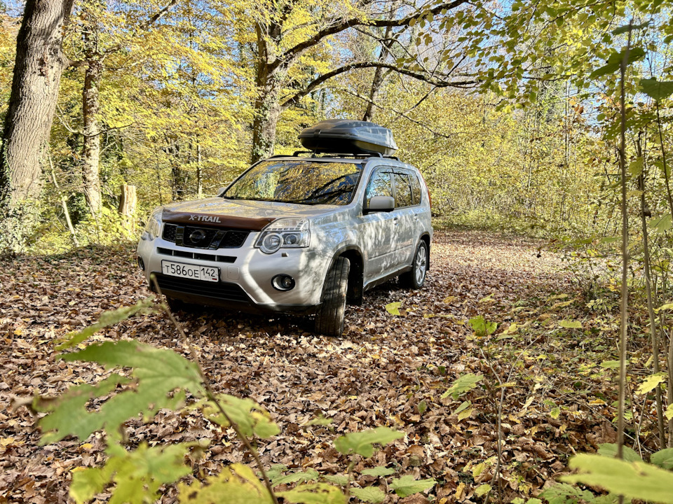 Photo from the logbook Nissan X-Trail II (t31)