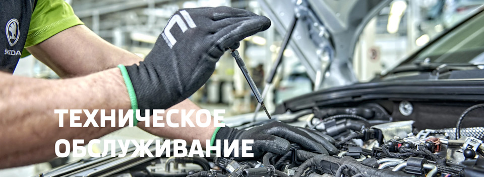 Фото в бортжурнале Skoda Octavia A7 Mk3