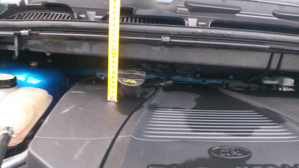 До замены — Ford C-Max I