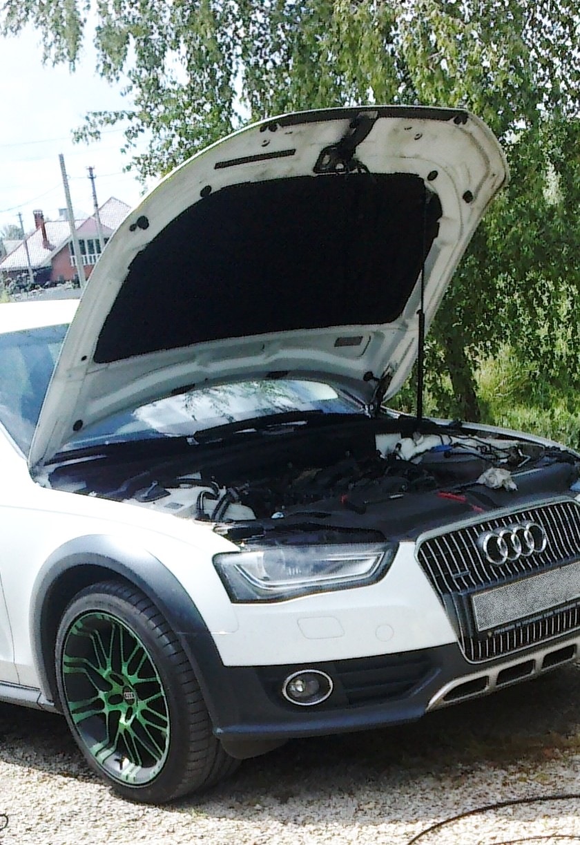 алоха ;) — Audi A4 Allroad (B8)